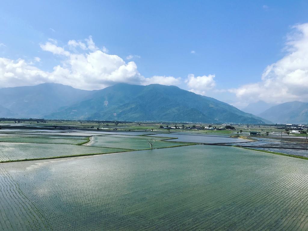 玉蟾園民宿 寵物友善 Yuchanyuan B&B Csisang Kültér fotó